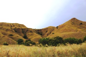 Pulau Gili Lawa Darat
